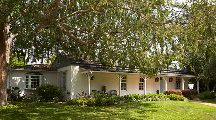 A tree in front of a house