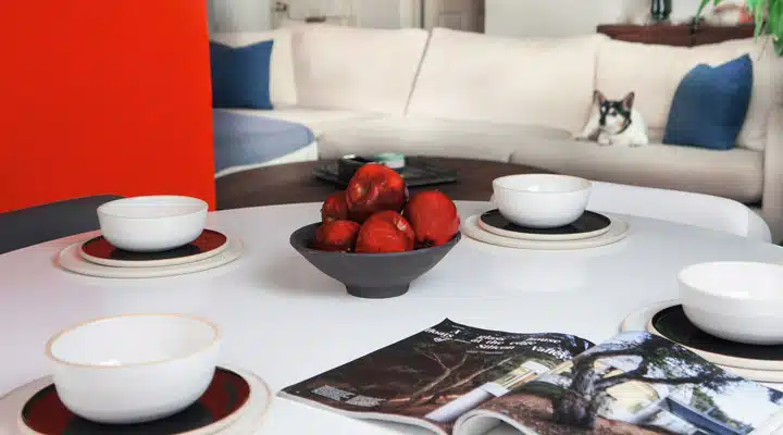 A plate is filled with furniture and vase on a table