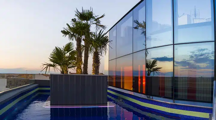A pool next to a palm tree