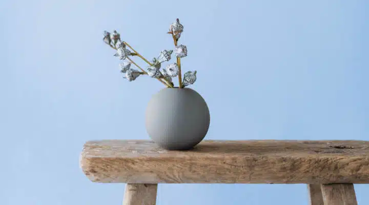 A vase sitting on top of a wooden table