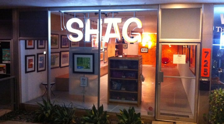 SHAG-the-store-1.jpg
