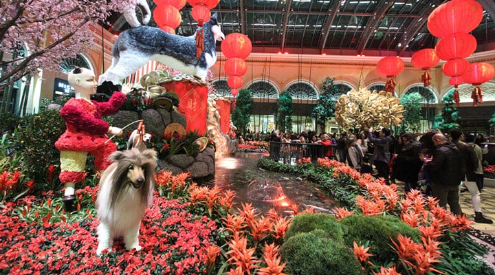 Bellagio Conservatory Chinese New Year of the Dog Entrance 2 to 1 Ratio  Photograph by Aloha Art - Fine Art America