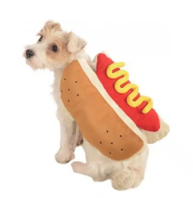 A dog wearing a costume