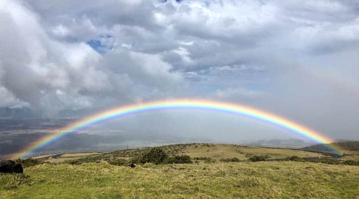 A rainbow over a field