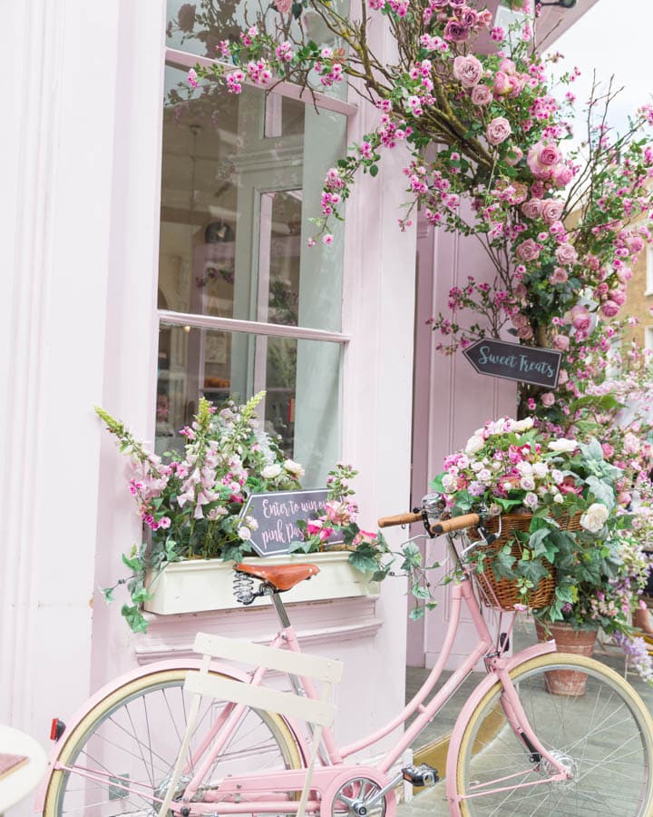A pink flower with a bicycle in front of a window