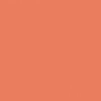 Orange Daylily - DE5145