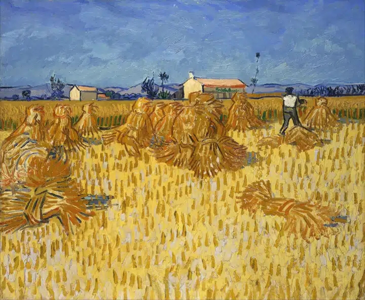 A group of people in a field