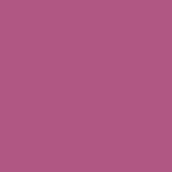 Vivid Violet Paint Color DE5012