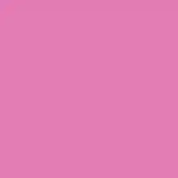 Fuchsia Blush Paint Color DE5025