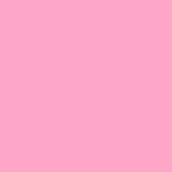 Taffy Pink Paint Color DE5045