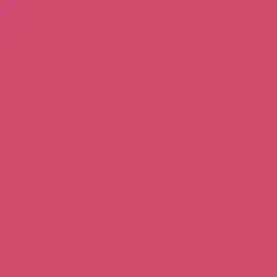 Pink Punch Paint Color DE5048