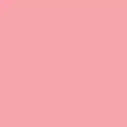 Simple Pink Paint Color DE5087