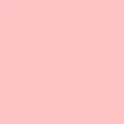 Pink and Sleek Paint Color DE5108