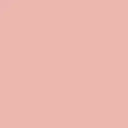 Mesa Rose Paint Color DE5114