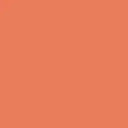 Orange Daylily Paint Color DE5145
