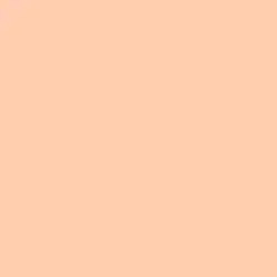Tender Peach Paint Color DE5157