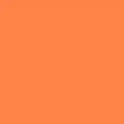 Tangerine Dream Paint Color DE5160