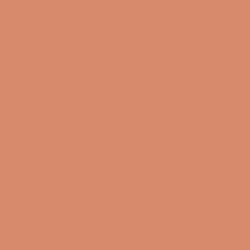 Bronzed Orange Paint Color DE5179