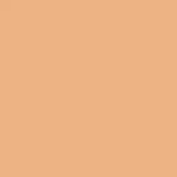 Rusty Orange Paint Color DE5248