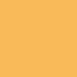 Marigold Paint Color DE5291