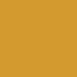 Roman Gold Paint Color DE5356