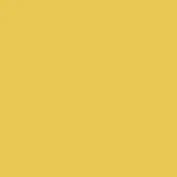 Yellow Brick Road Paint Color DE5424