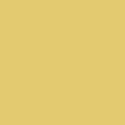 Dijon Mustard Paint Color DE5451