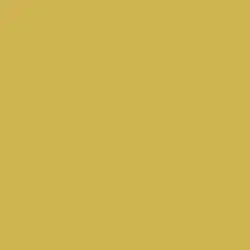 Gold Gleam Paint Color DE5452