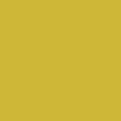 Yellow Stone Paint Color DE5467