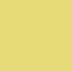 Lustrous Yellow Paint Color DE5472