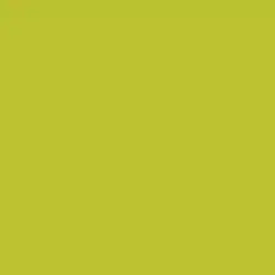 Fluorescent Lime Paint Color DE5517