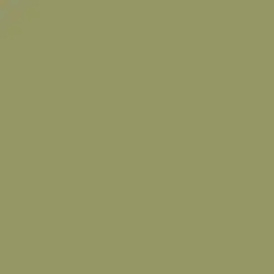 Military Green Paint Color DE5530