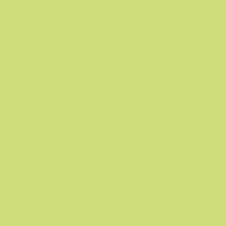 Lime Sorbet Paint Color DE5550
