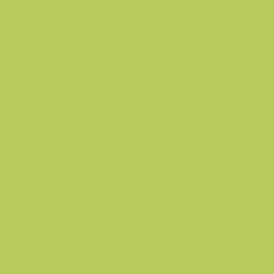 Asparagus Fern Paint Color DE5551