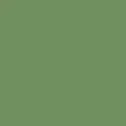 Four Leaf Clover Paint Color DE5593