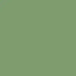 Wild Thyme Paint Color DE5621