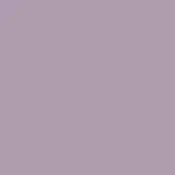 Veiled Violet Paint Color DE5976