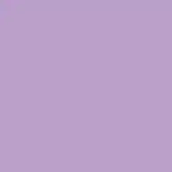 Purple Prophet Paint Color DE5983