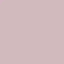 Melting Violet Paint Color DE6017
