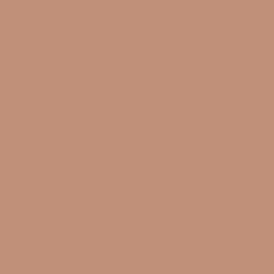 Copper Lake Paint Color DE6103