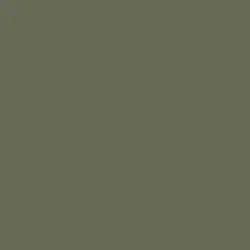 Bijoux Green Paint Color DE6266