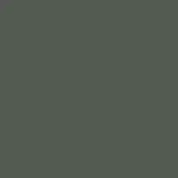 Midnight Spruce Paint Color DE6294