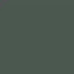 Black Spruce Paint Color DE6308