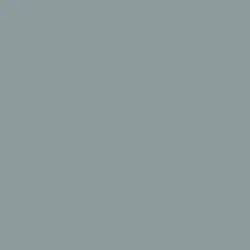 Gray Flannel Paint Color DE6319