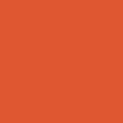 Untamed Orange Paint Color DEA110