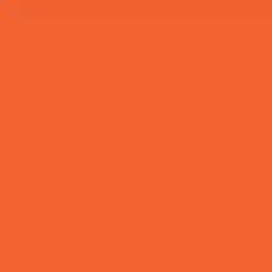 Exuberant Orange Paint Color DEA112