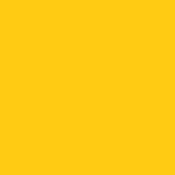 Confident Yellow Paint Color DEA117
