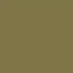 Peppered Moss Paint Color DEA169