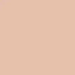 Retro Peach Paint Color DEC703