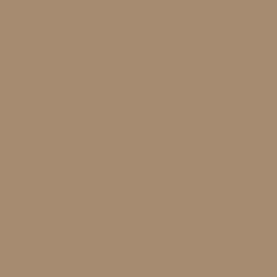 Mesa Tan Paint Color DEC718